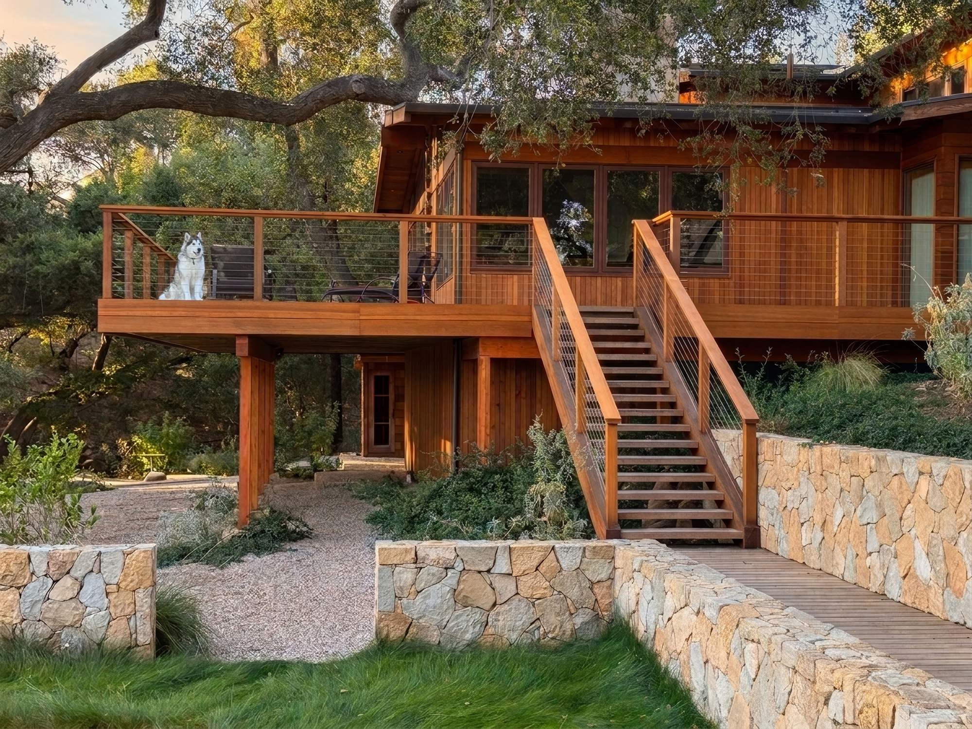 A cedar-and-glass hillside home beneath a live oak, with a husky resting on the deck